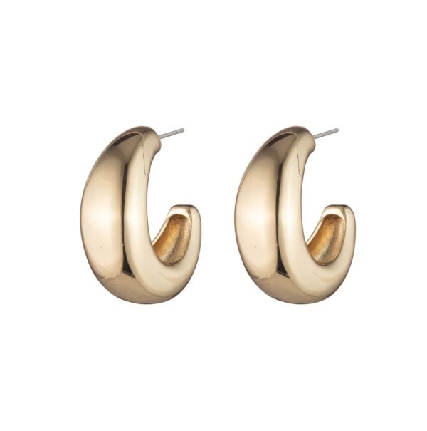 Dannijo Winona Gold Hoop Earrings Women Earrings